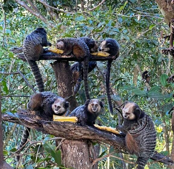 호스텔 Pousada Natureza Viva