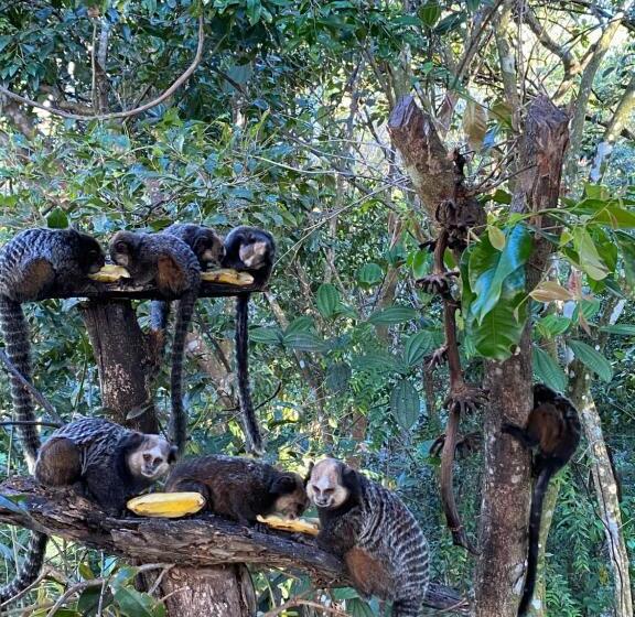 호스텔 Pousada Natureza Viva