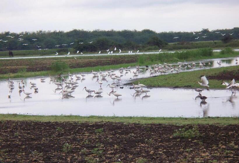 Becks Bed & Breakfast