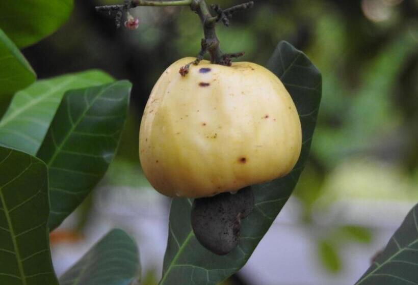 Becks Bed & Breakfast