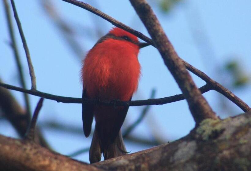 Becks Bed & Breakfast