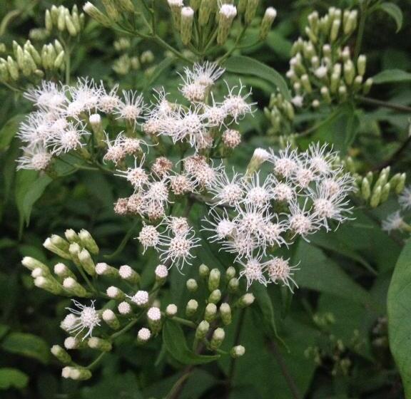 Becks Bed & Breakfast