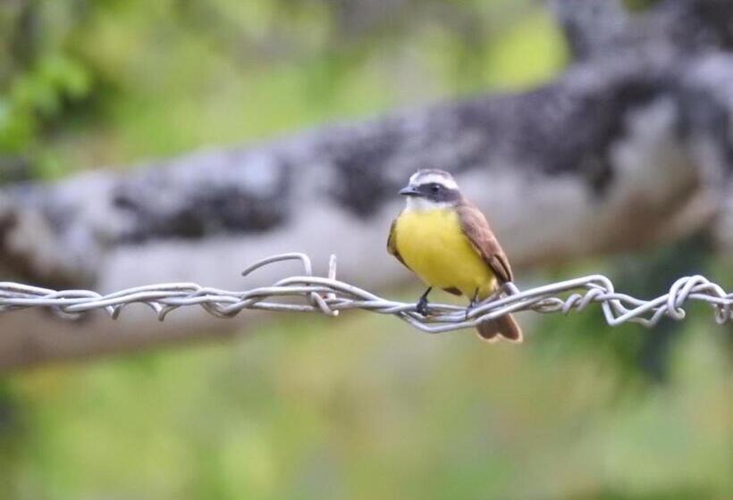 Becks Bed & Breakfast