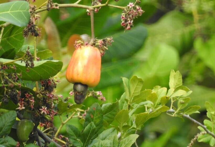 Becks Bed & Breakfast