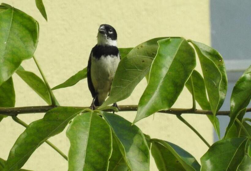 Becks Bed & Breakfast