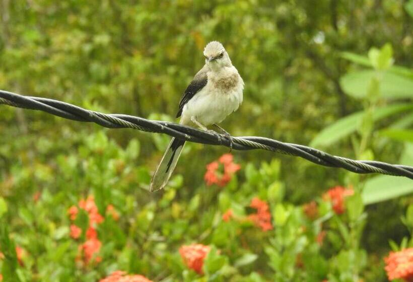 Becks Bed & Breakfast