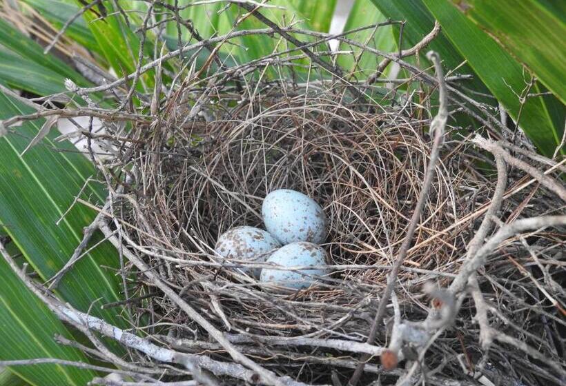 Becks Bed & Breakfast