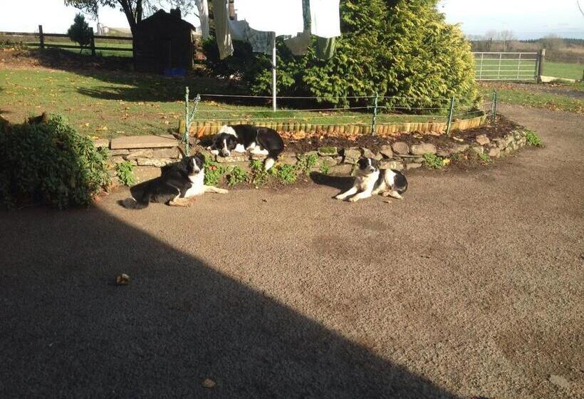 민박 Bradridge Farm