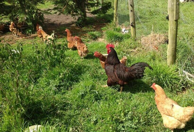 مبيت وإفطار Bradridge Farm