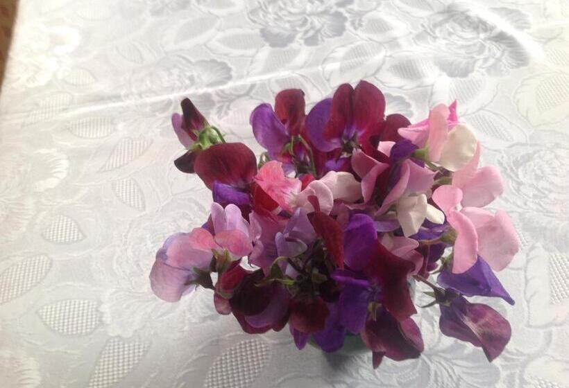 مبيت وإفطار Bradridge Farm