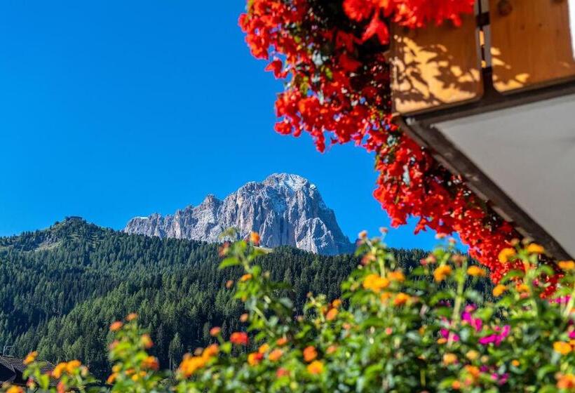 Bed and Breakfast Garni Bondi