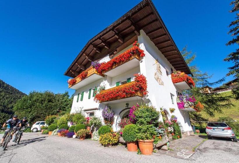 Bed and Breakfast Garni Bondi