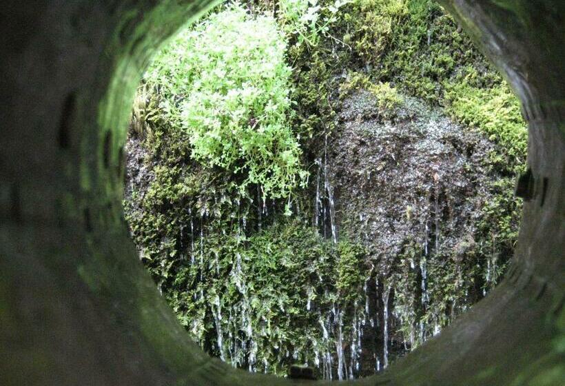 住宿加早餐  Haus Salzkammergut