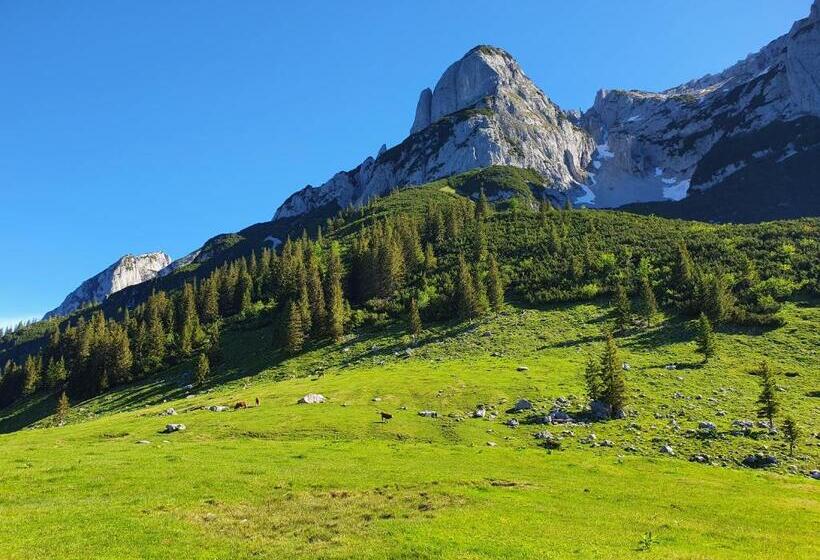مبيت وإفطار Haus Salzkammergut