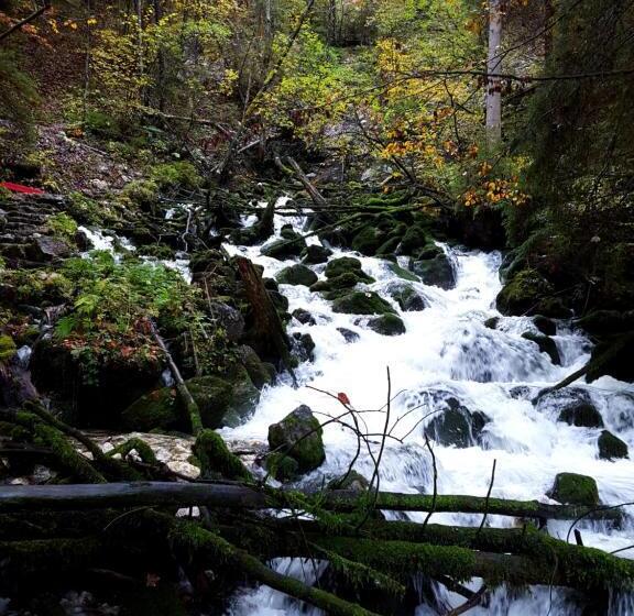 住宿加早餐  Haus Salzkammergut