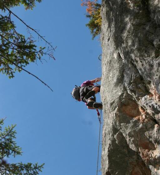 住宿加早餐  Haus Salzkammergut