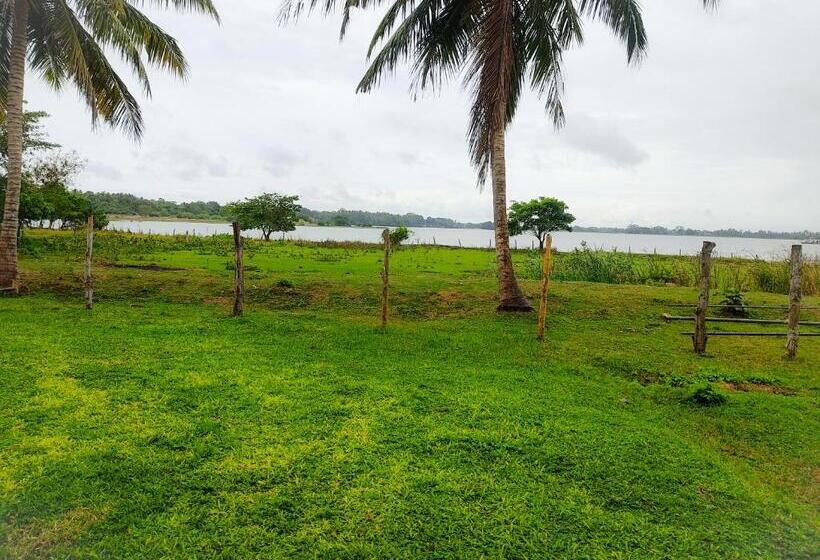 住宿加早餐 Lake View Cottage