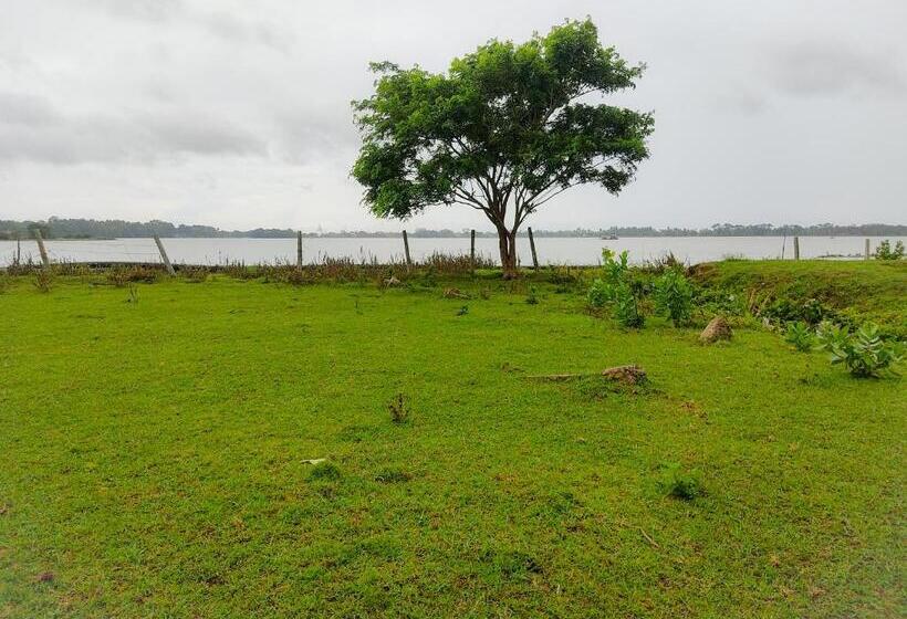 住宿加早餐 Lake View Cottage