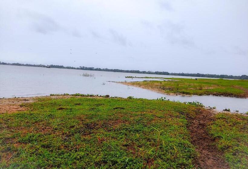 住宿加早餐 Lake View Cottage