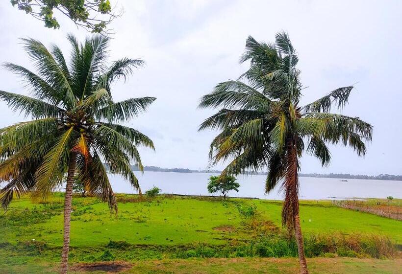 住宿加早餐 Lake View Cottage