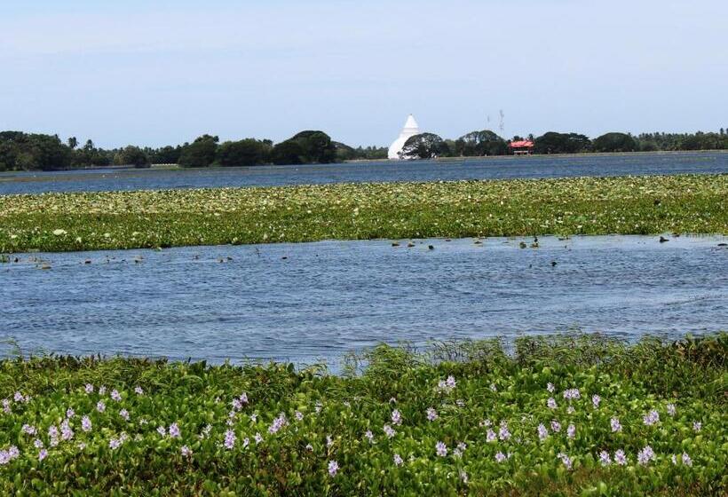 住宿加早餐 Lake View Cottage