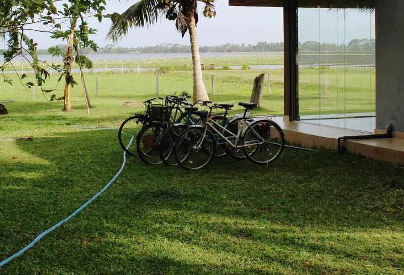 住宿加早餐 Lake View Cottage