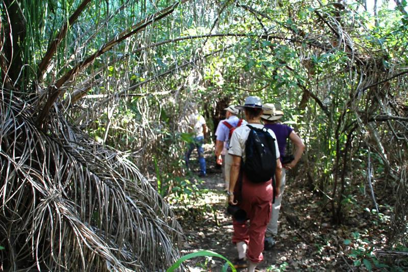 住宿加早餐  Pantanal Ranch Meia Lua