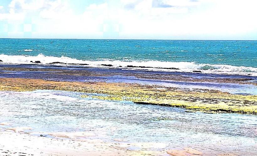 Flat Beach Class Muro Alto 1107