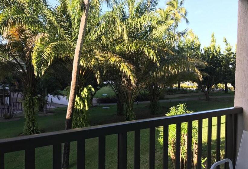 Flat Beach Class Muro Alto 1107