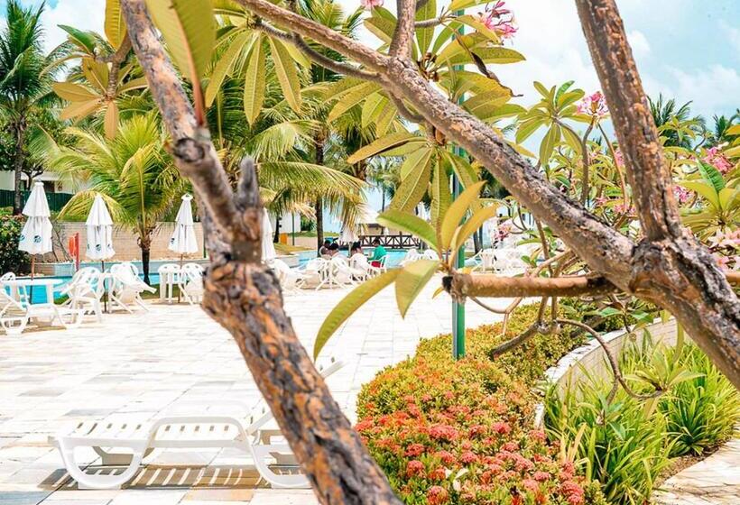 Flat Beach Class Muro Alto 1107