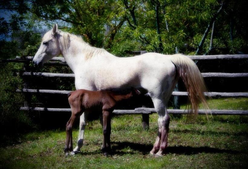 هتل Agriturismo Locanda Pantanello