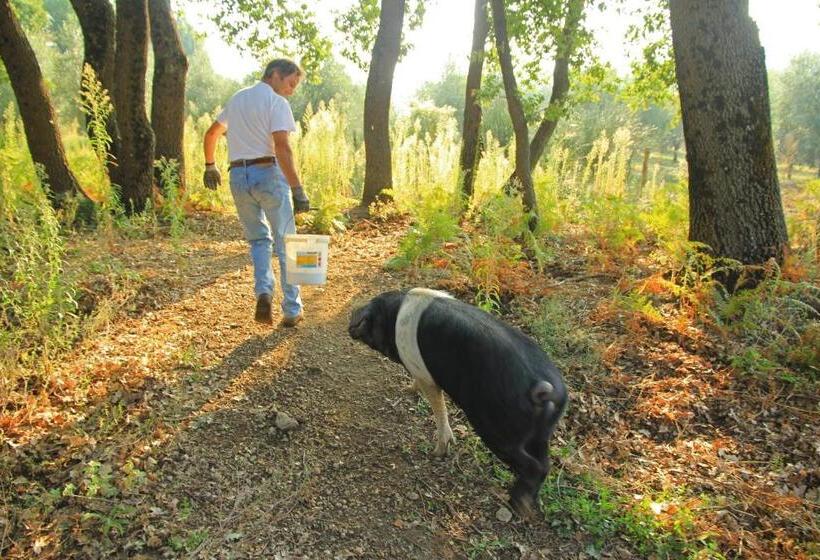 هتل Agriturismo Locanda Pantanello