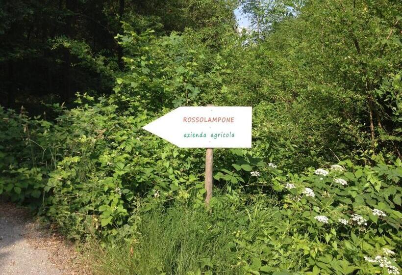 호텔 Agriturismo Rossolampone