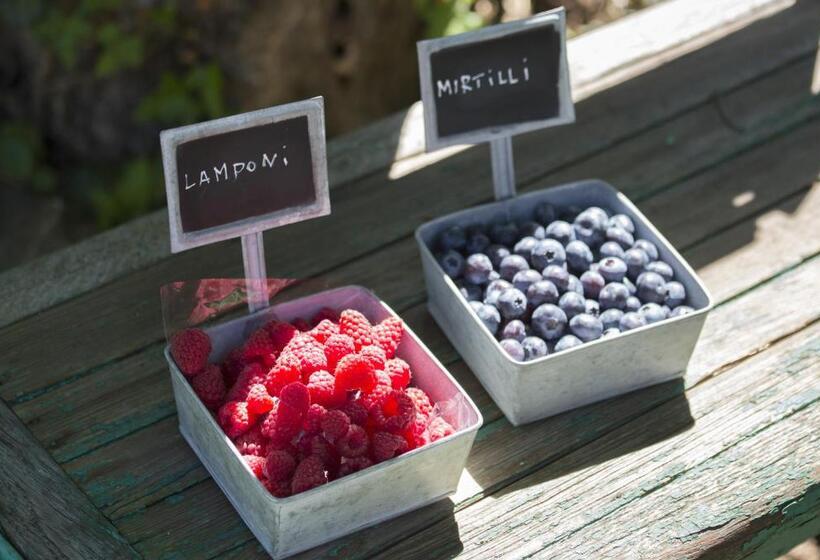 호텔 Agriturismo Rossolampone