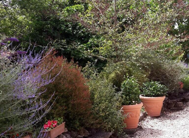 فندق Casa Vacanze Le Corone