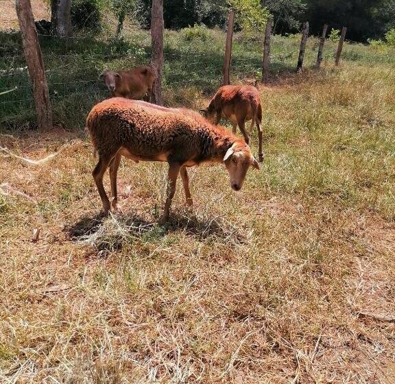 캡슐 호텔 Campestre La Maria