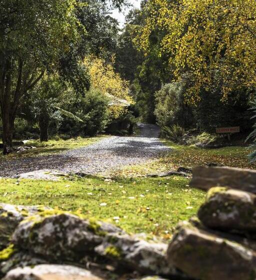 فندق Cradle Forest Inn