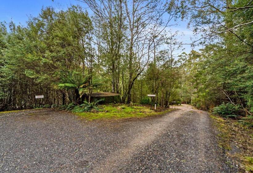 فندق Cradle Forest Inn