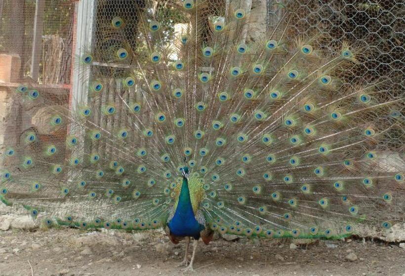 هتل Duca Di Castelmonte