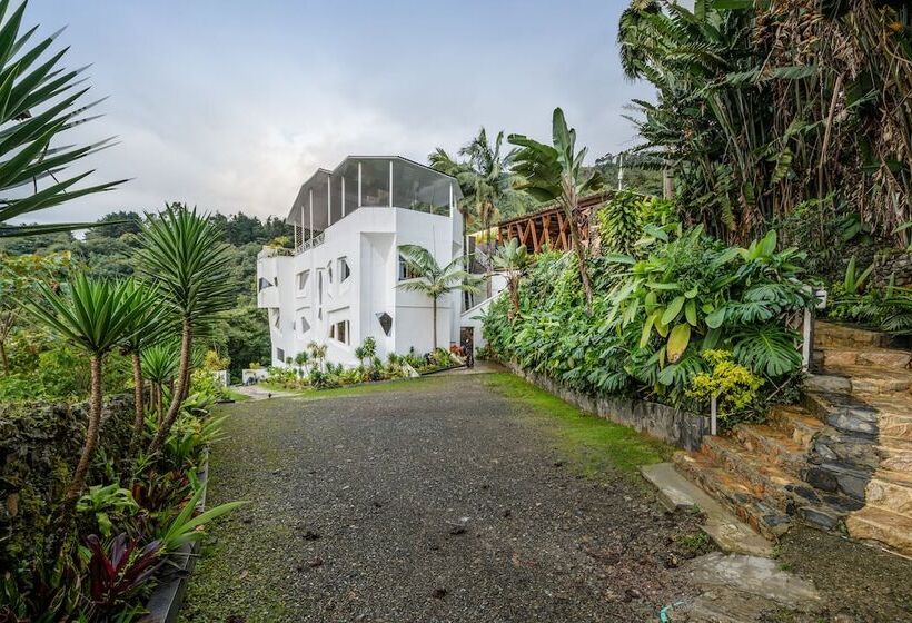 فندق The Icon Resort