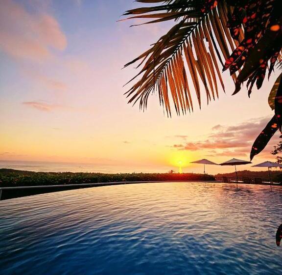 فندق Vista Ballena