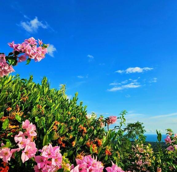 فندق Vista Ballena