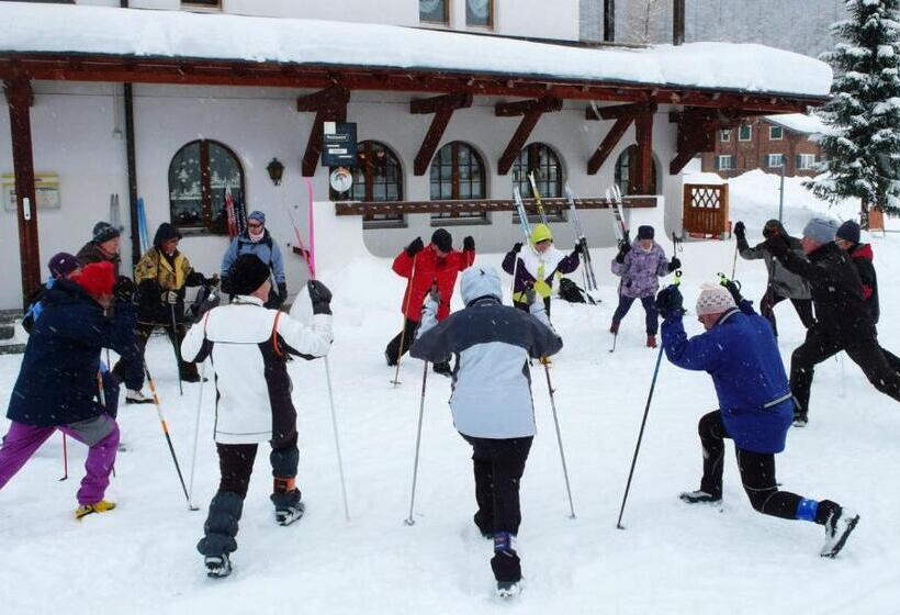 בית מלון כפרי Walser