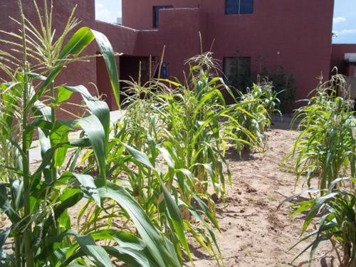 Мотель Hopi Cultural Center