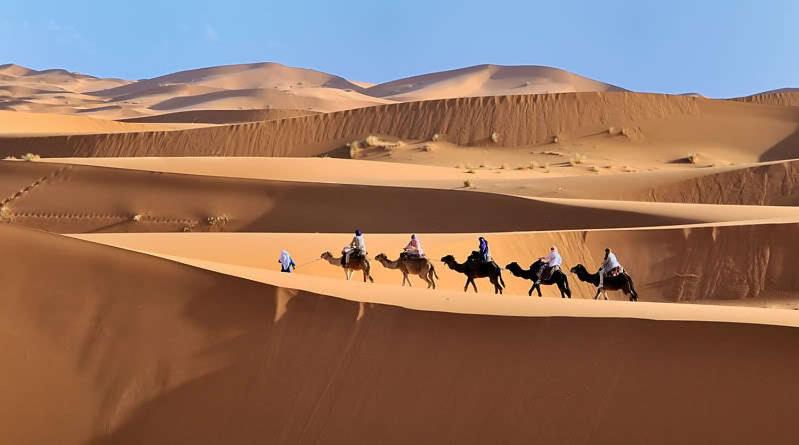 پانسیون Auberge Sahara Garden