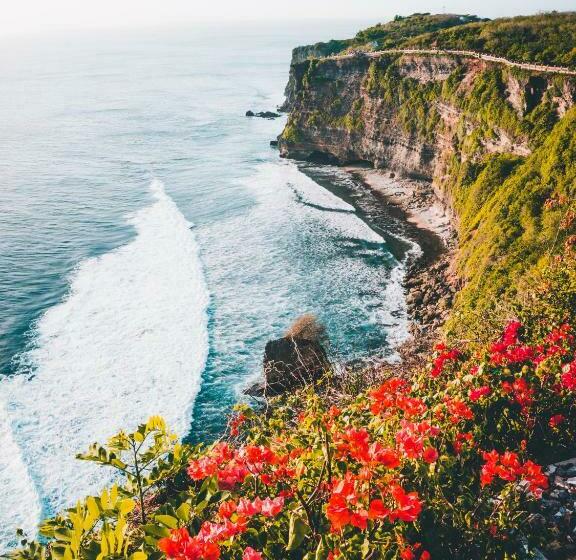 פנסיון Bali Bio Villas