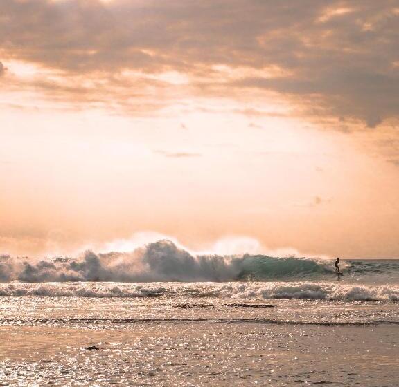 פנסיון Bali Bio Villas