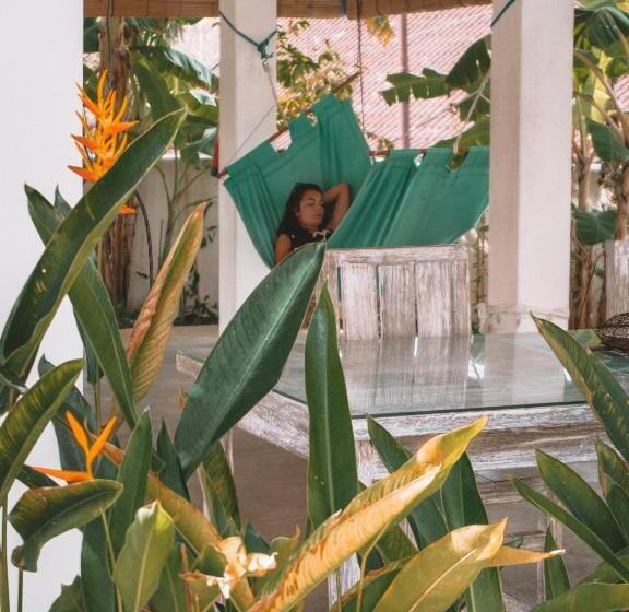 פנסיון Bali Bio Villas