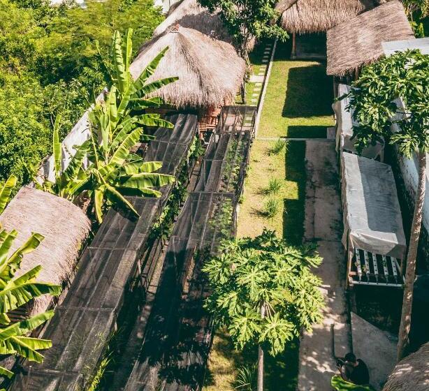 פנסיון Bali Bio Villas