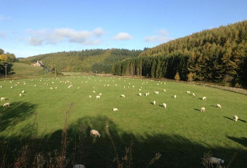 Пансион Green Hope Guest House